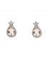 Ritone Silver Earrings