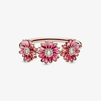 Anillo Trío de Margaritas Rosas