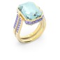 Anillo Orbita Anillo Orbita