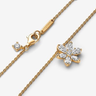 Collar Herbario Brillante