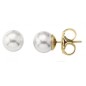 Earrings CLASSIC 7 mm