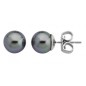 PENDIENTES LYRA PLATA PERLA GRIS 8MM