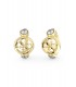 PERFECT ILLUSION GUESS PENDIENTES