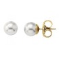 PENDIENTES LYRA DORADOS 8MM