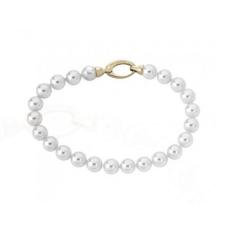 Brazalete CLÁSICO