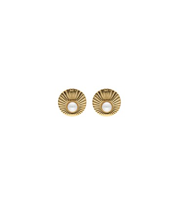 LE PALM EARRINGS IN STAINLESS STEEL WITH OMEGA CLASP