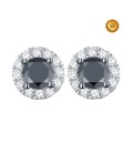 PENDIENTES REDONDO CON DIAMANTE NEGRO Y BLANCOS