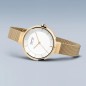 SALE BERING SOLAR WATCH