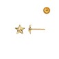 STAR EARRING IN 18KT GOLD WITH SCREW CLASP