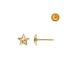 STAR EARRING IN 18KT GOLD WITH SCREW CLASP