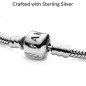 Pandora Moments Bracelet Pandora Moments Bracelet